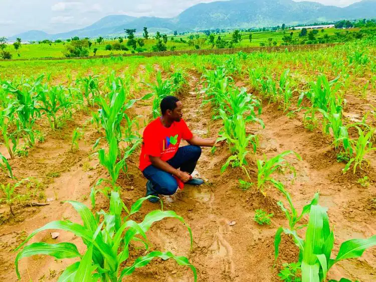 The Ellison Outreach Foundation Launches Grow Together Project in Adukrom to Combat Food Insecurity